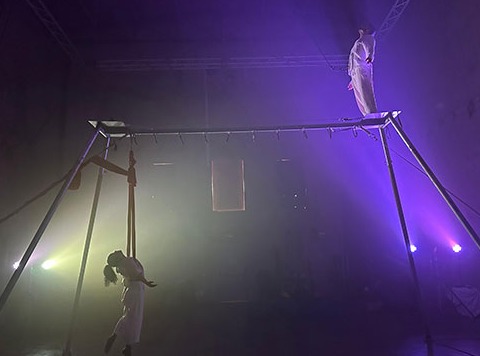 Circaire, Festival de Circ d'Alcúdia