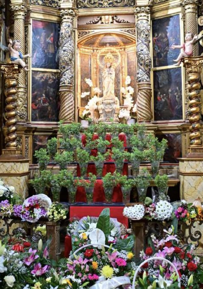 Solemn mass of the Mare de Déu de la Salut 2026