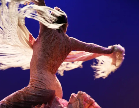 Gran Gala Flamenc al Palau de la Música Catalana