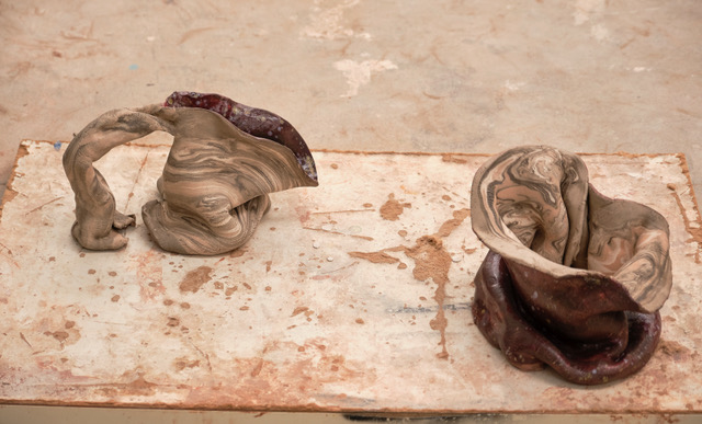Anatoformes: exposición de Rebeca Morey en Casal Solleric