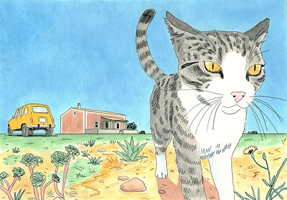 El Gato Atómico, an intervention by Juan Moreno at El Mirador, Palma