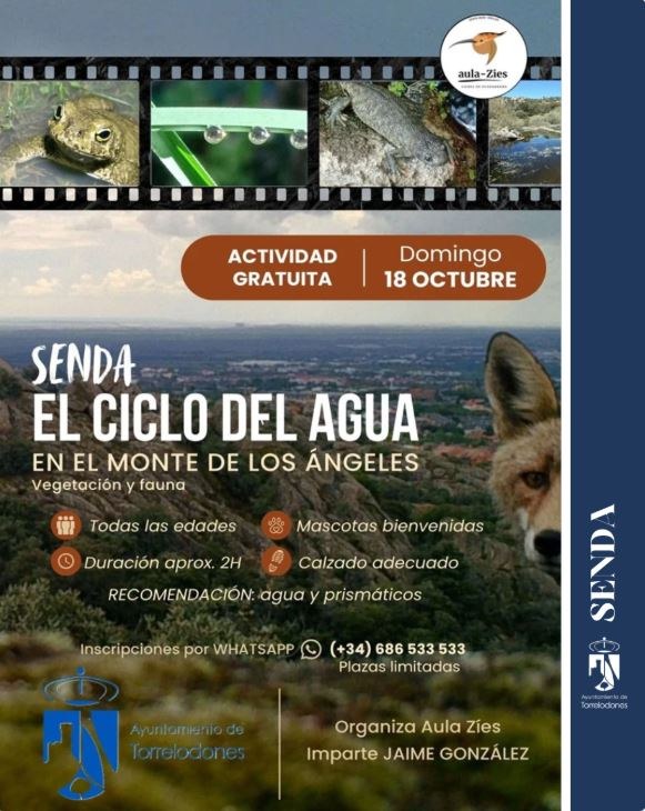 Ruta guiada: Ciclo del Agua en el Monte Los Ángeles
