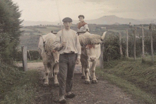 The Basque Country in Colour: Autochromes 1907β1935 in Bilbao