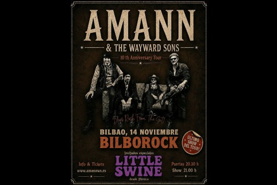 Amann & The Wayard Sons and Little Swine at Bilborock