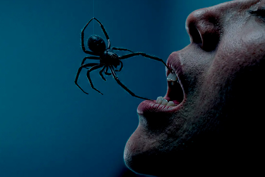 37th San Sebastián Horror and Fantasy Film Week 2026