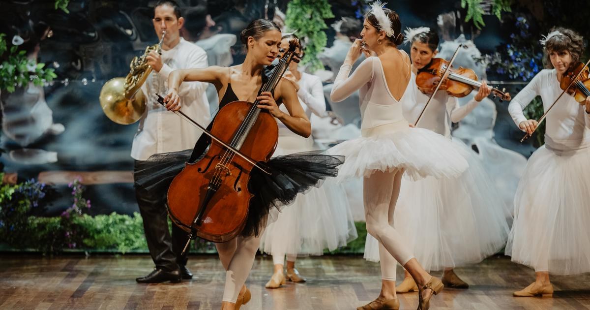 Volem amb Txaikovski: la música dels ballets al Palau
