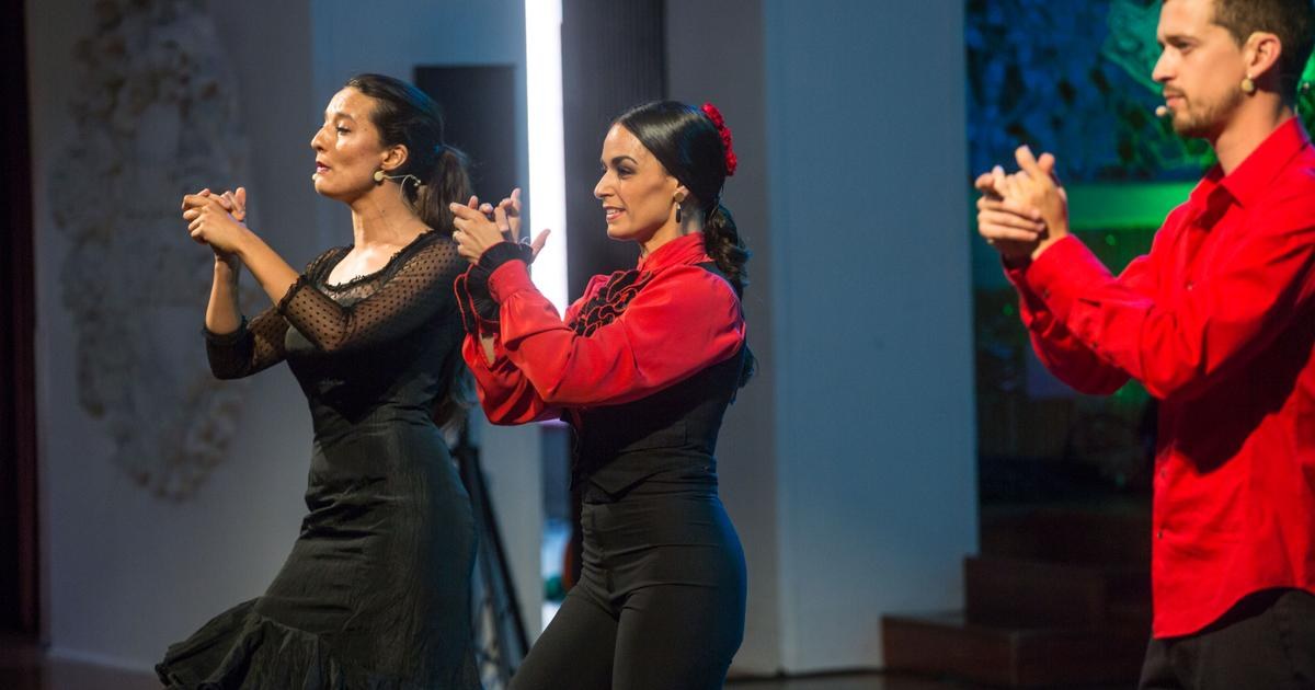 Flamenkat: concert familiar de flamenc al Palau