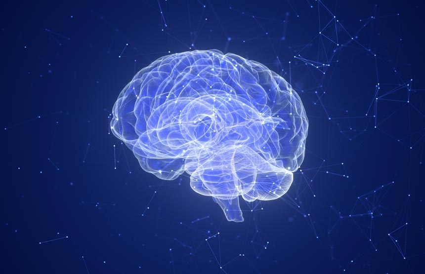 Das Gehirn, das sich täuscht: Magie und Neurowissenschaft