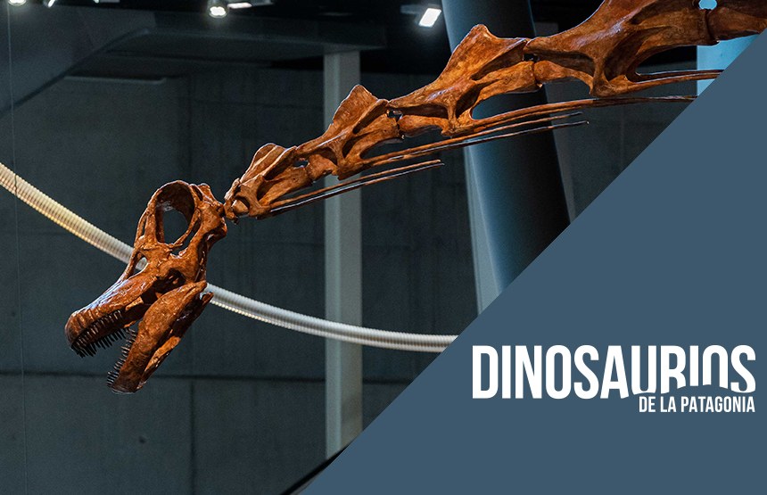 Family Visit: In the Footsteps of Patagotitan