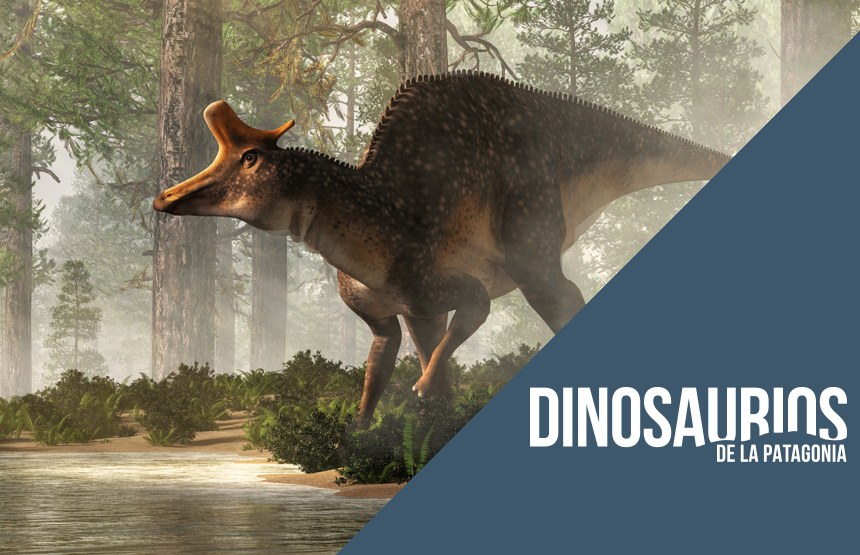 Far More Than Prey: Ornithopods at CaixaForum Palma