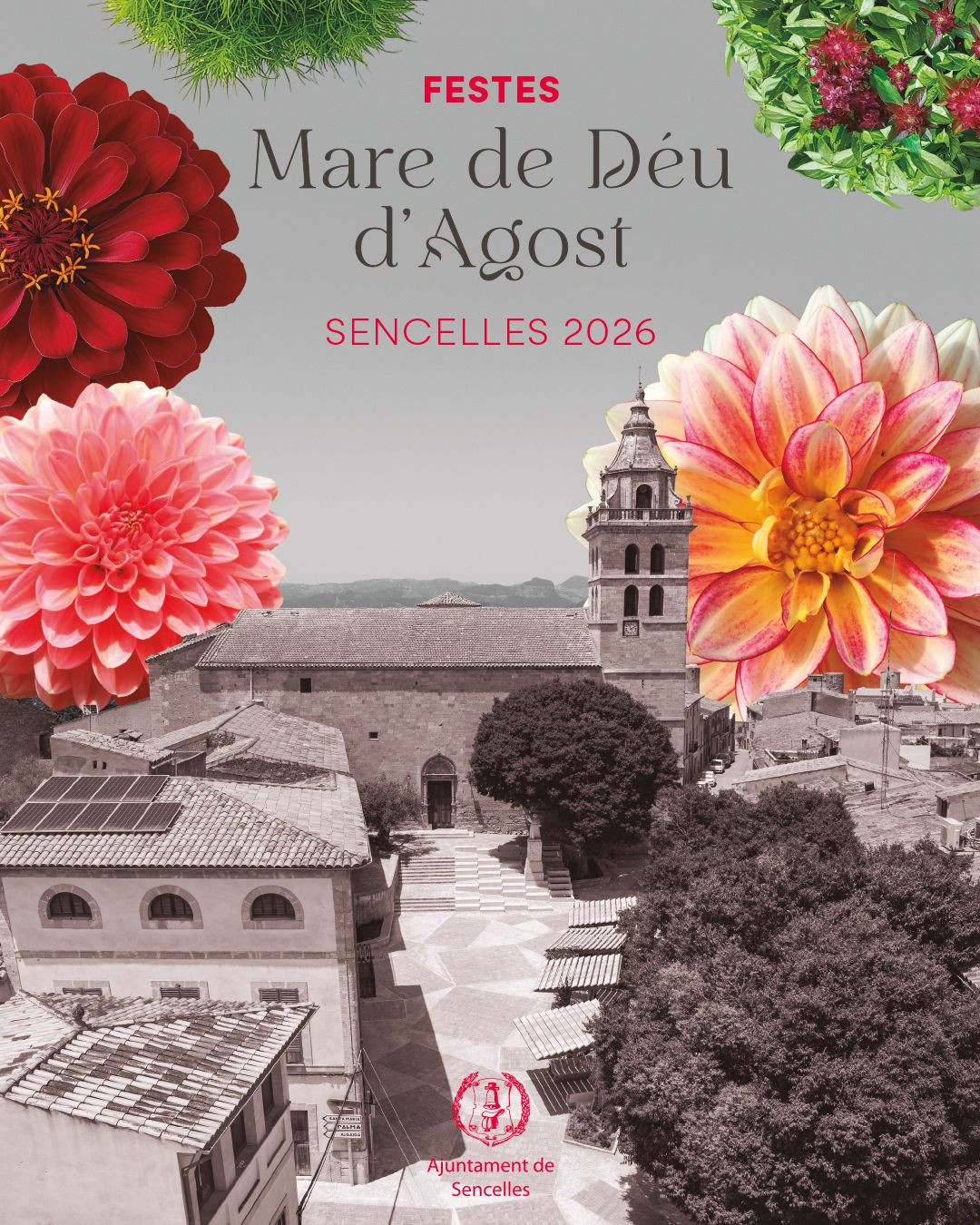 fiestas-de-la-mare-de-deu-dagost-2026-sencelles